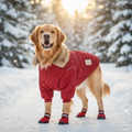 PawWarm red dog winter coat on medium dog in snow